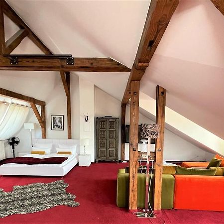 City Penthouse Mit Dachterrasse Фрайбург Екстериор снимка